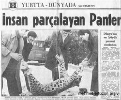 Anadolu Pars