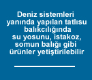 Deniz enerjisi