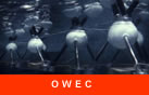 OWEC