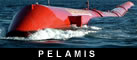 Pelamis