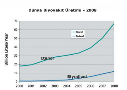 Biyoyakt Enerjisi raporu