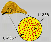 Uranyum İzotopları